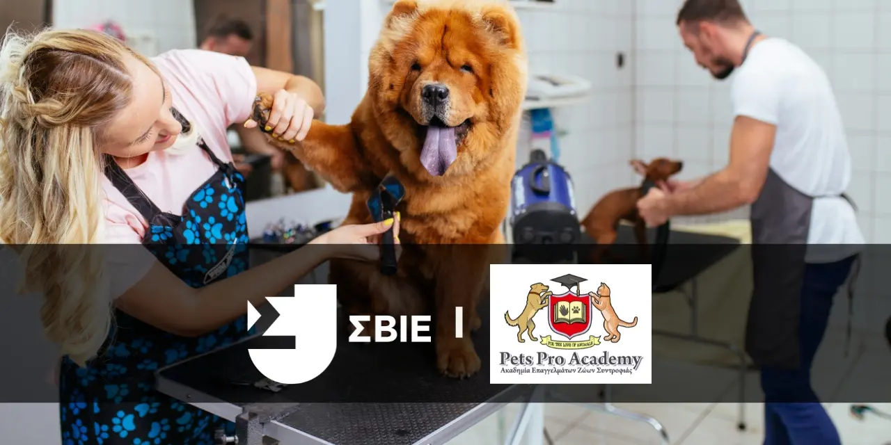 Pet Grooming – Καλλωπισμός Ζώων Συντροφιάς banner