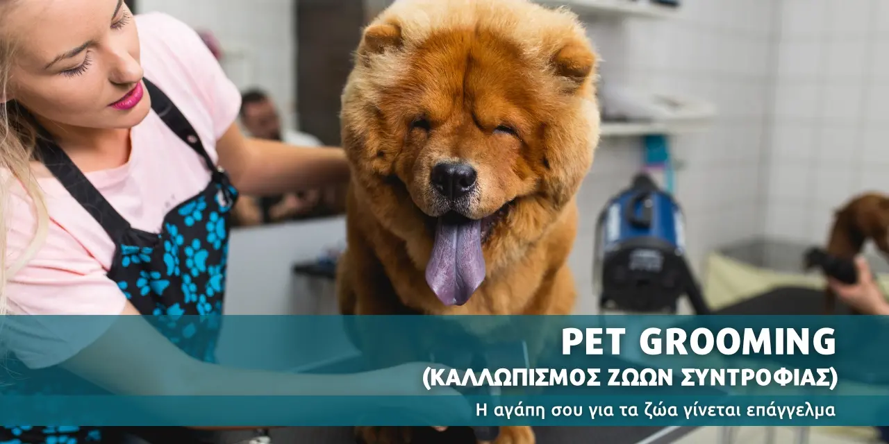 Pet Grooming – Καλλωπισμός Ζώων Συντροφιάς banner