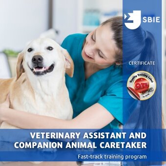 Veterinary Assistant and Companion Animal Caretaker image