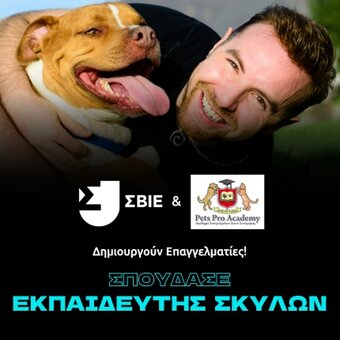 Δίπλωμα Εκπαίδευσης & Συμπεριφοράς Σκύλων image