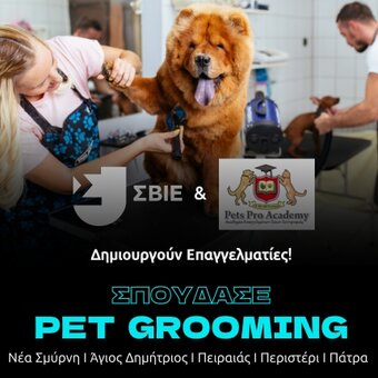 Pet Grooming image