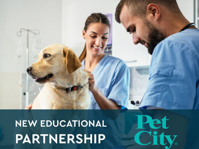 Συνεργασία ΣΒΙΕ και Pet City
