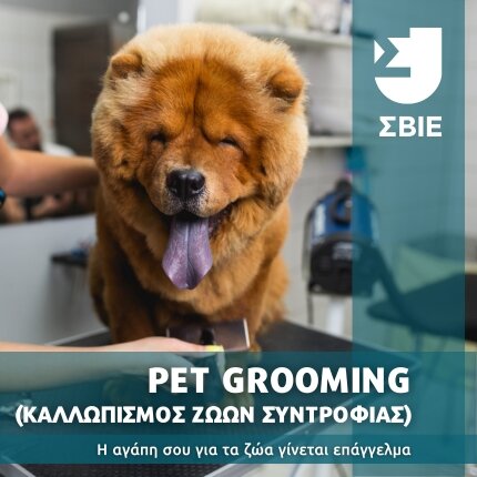 Pet Grooming – Καλλωπισμός Ζώων Συντροφιάς banner