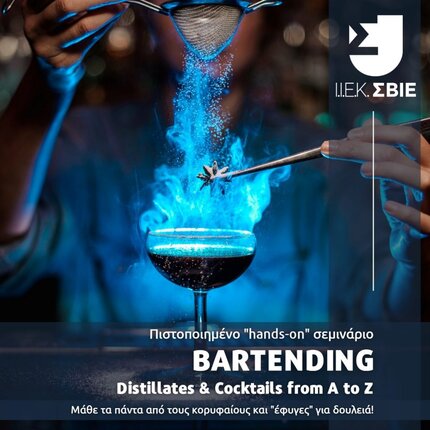 ΣΒΙΕ Σεμινάριο bartending